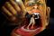 Trick Art Japan