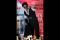 Shah Rukh Khan Siap...