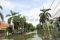 Pluit Berangsur Surut