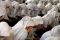 Pelajar Doa Bersama...