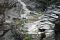 Waspada Tangkuban Perahu