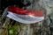 Peringatan hari bumi