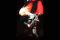 Black metal Cread of...