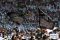 Muktamar Khilafah 2013