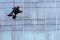 Spiderman bersihkan...