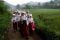 Lintasi pematang sawah...