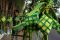 Ketupat hias