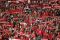 The Reds tundukkan Indonesia...