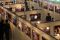 Pameran Foto, Warna...