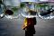 Ikan hias air tawar