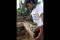 Singgasana Miss World...