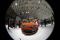 IIMS 2013, Forwot Car...