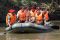 Menhut susuri sungai...