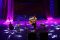 Gitaris muda Korea Sungha...