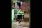 Ribuan rumah di Medan...
