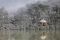 Gunung Sinabung kembali...