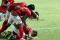 MNC CUP 2013, Timnas...