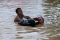 Banjir bandang rendam...