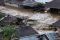 Banjir bandang rendam...