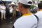 Apel relawan banjir...