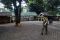 Libur Satwa, Ragunan...