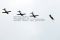 Jupiter Aerobatic Team...