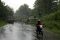 Tiang listrik dan pohon...