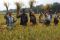 Mentan Suswono panen...