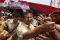 Apel siaga Gerindra...