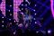 Windy absen, eliminasi...