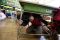 Simulasi gempa bumi...