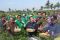 Mentan lepas ekspor...