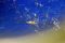 Pencarian MH370 terus...