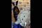 Game Texas Poker Boyaa