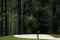 Persaingan pegolf top...
