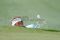 Persaingan pegolf top...