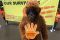 Selamatkan orangutan,...