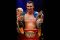 Vladimir Klitschko menang...