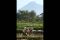 Merapi waspada, aktivitas...