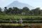 Merapi waspada, aktivitas...