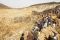 Longsor di Afghanistan,...