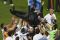 Real Madrid Juara Liga...