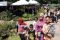 Pameran Flora Fauna...