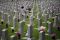 Memorial Day Korea Selatan