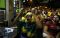 Warga Brazil Bersuka...