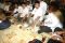 Prabowo Didampingi Ical...