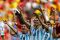 Gol Higuain Antar Argentina...