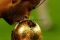 Jerman Juara Piala Dunia...