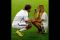 Juara Dunia, WAGs Cantik...