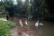Duka Seniman Bandung...